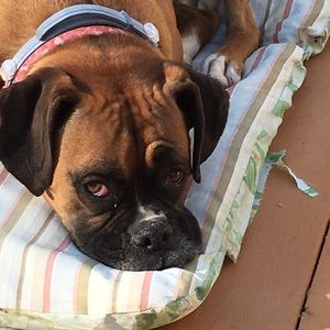 Meet your Posher, Odelle